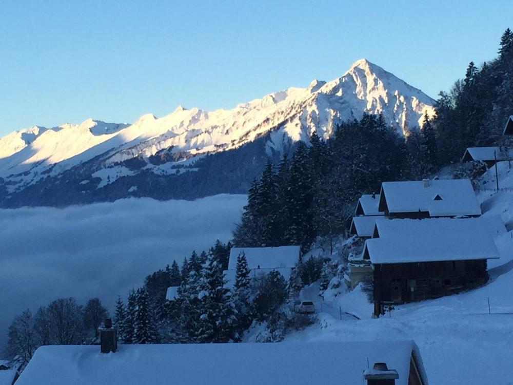 Apartmán Alpenparadies Beatenberg Exteriér fotografie